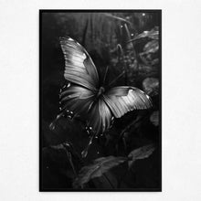 Load image into Gallery viewer, Whimsical Wingdance - Framed