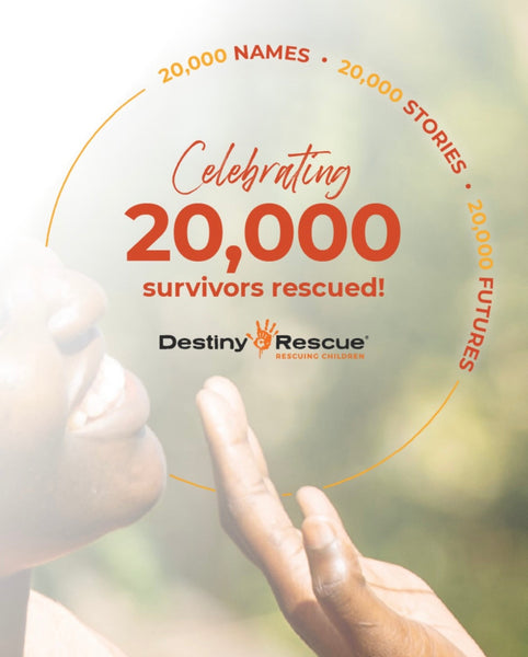 How Dreamy Dawn is Making a Difference: Destiny Rescue, Our Charitable Mission Explained