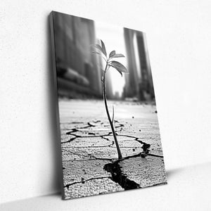 Cracks of Hope - Canvas